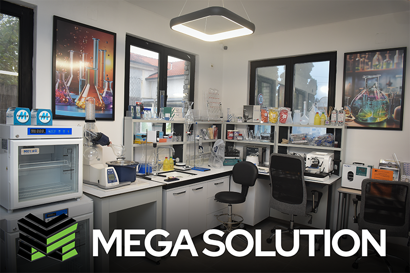 Digitalizacija poslovanja i online shop Mega Solution